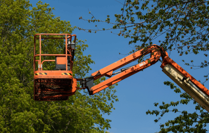 Crane Assisted Feature Image 1