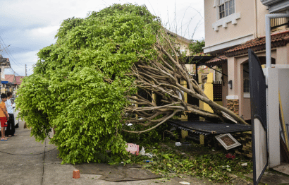 Emergency Tree Services Featured Image 1