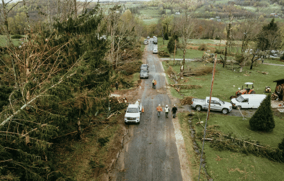 Emergency Tree Services Featured Image 2