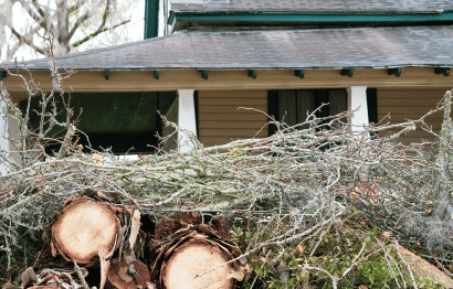 Emergency Tree Services Featured Image 3