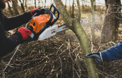 Tree Removal Featured Image