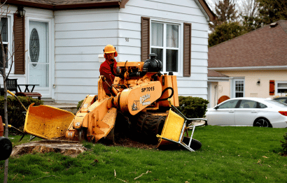 Tree Services Featured Images2